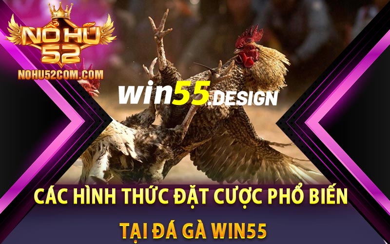 Các hình thức đặt cược phổ biến tại đá gà Win55