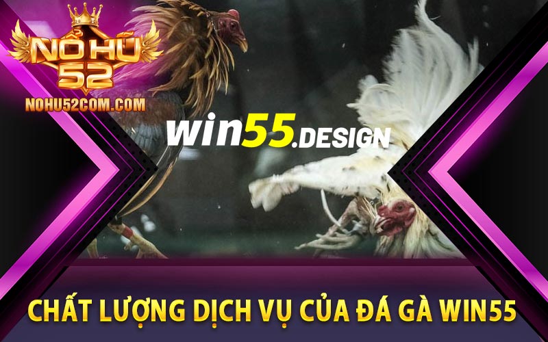 Đánh giá chất lượng dịch vụ của đá gà Win55